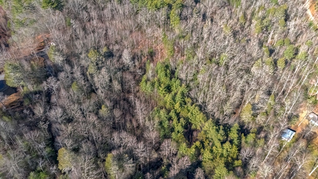 421067 McCaysville Residential