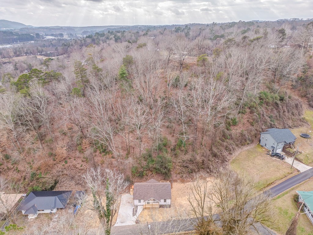421087 Ellijay Residential