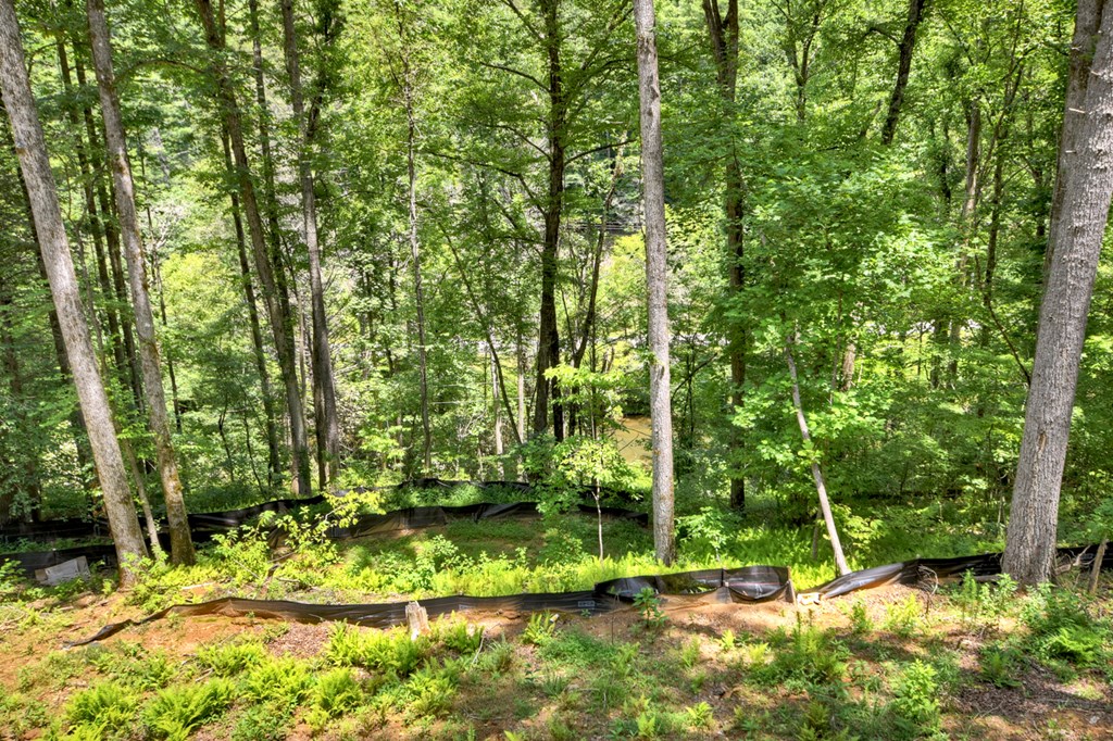 421140 Suches Residential