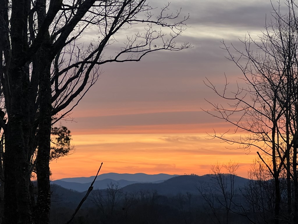 421142 Murphy Residential