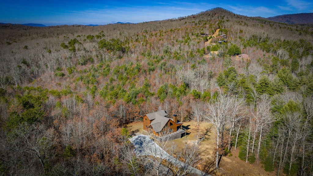 421168 Mineral Bluff Residential