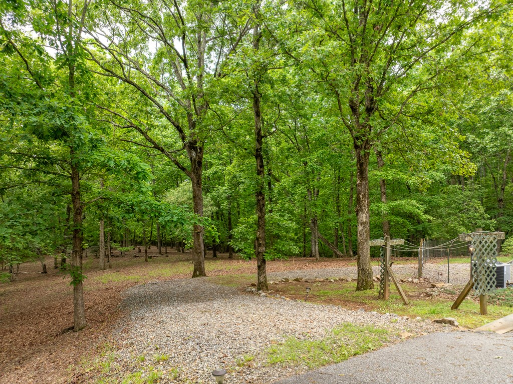 421180 Blairsville Residential