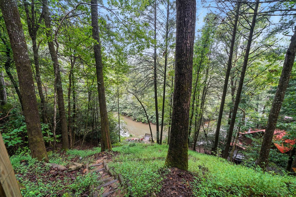 422217 Ellijay Residential