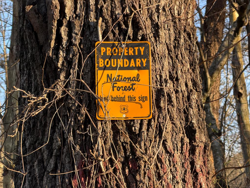 422221 Morganton Residential