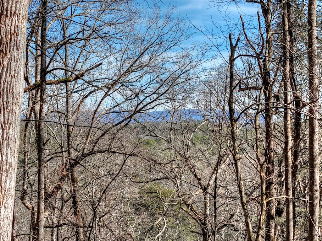 422349 Ellijay Residential