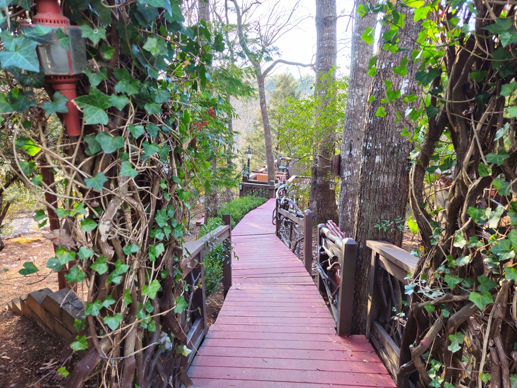 422357 Mineral Bluff Residential