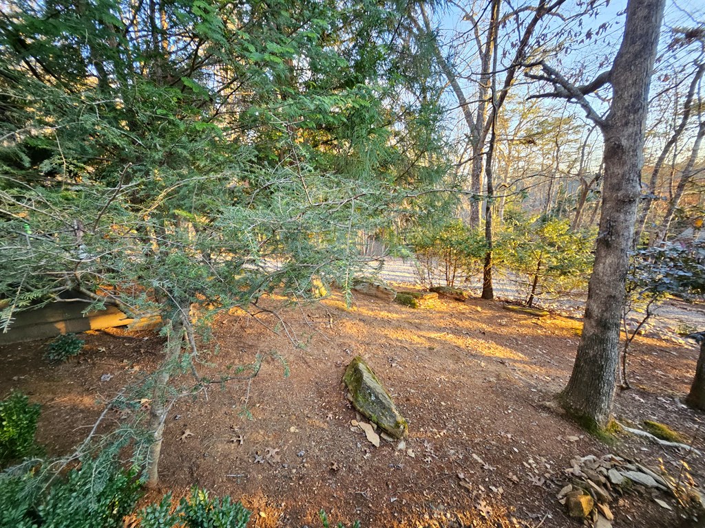 422357 Mineral Bluff Residential