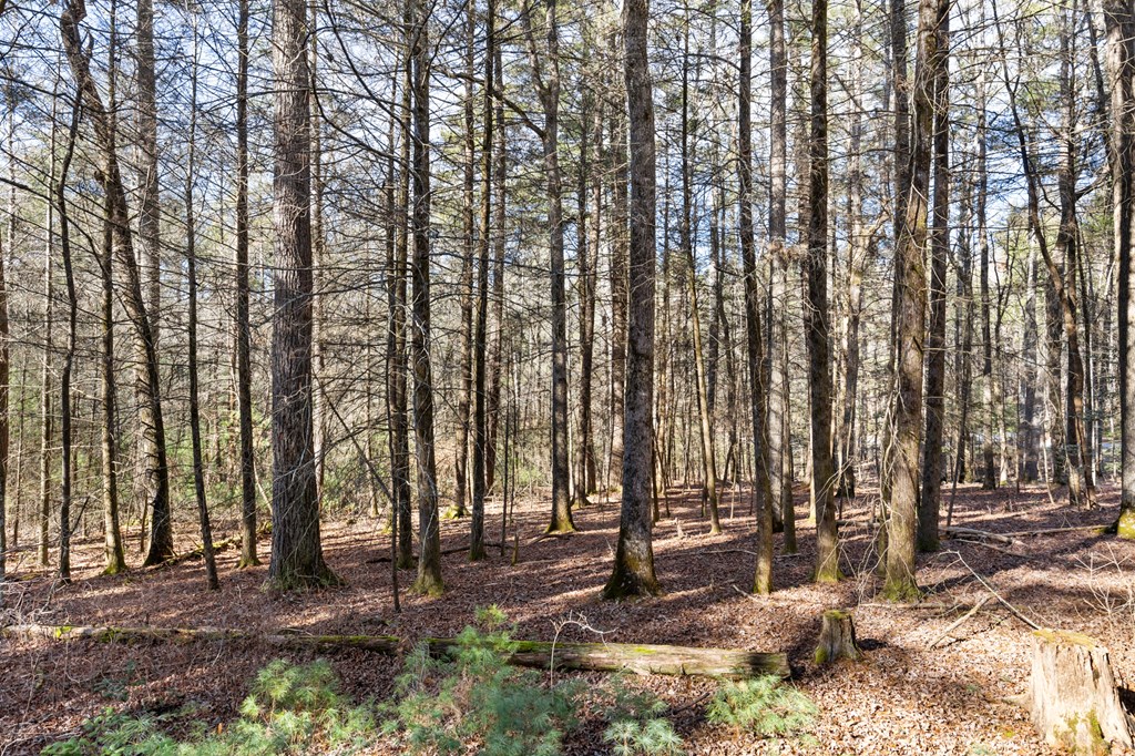 422383 Suches Residential