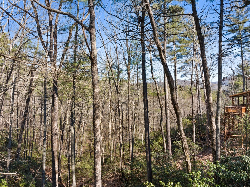 422395 Cherry Log Residential