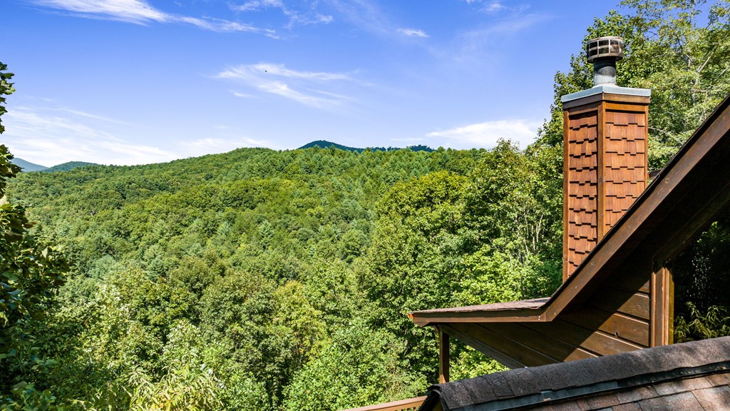 422429 Mineral Bluff Residential