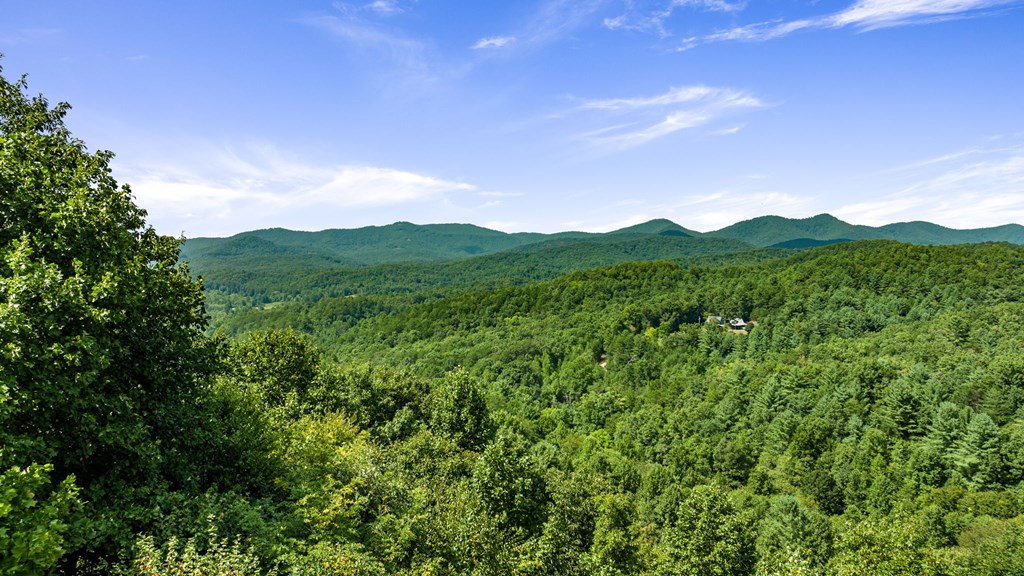 422429 Mineral Bluff Residential