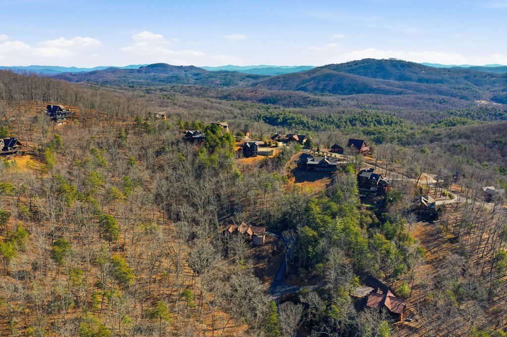 422467 Mineral Bluff Residential