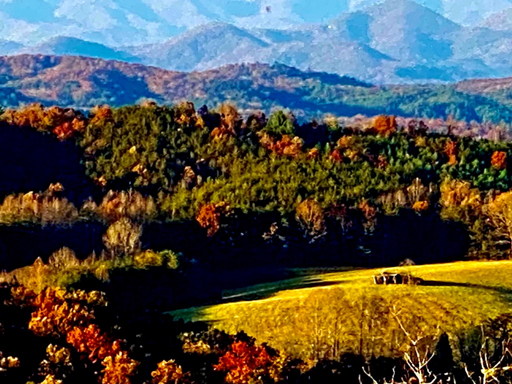 422480 Morganton Residential