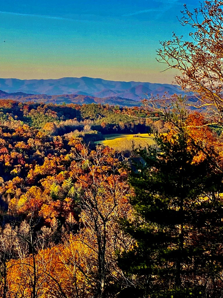 422480 Morganton Residential