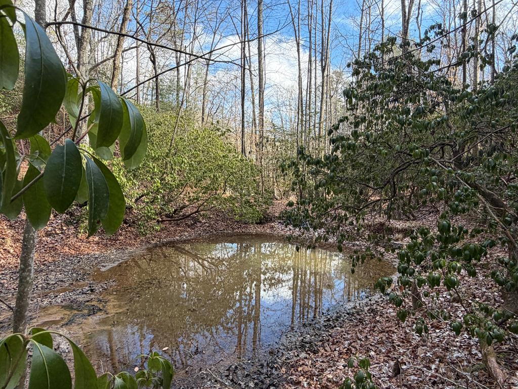 422507 Blue Ridge Residential