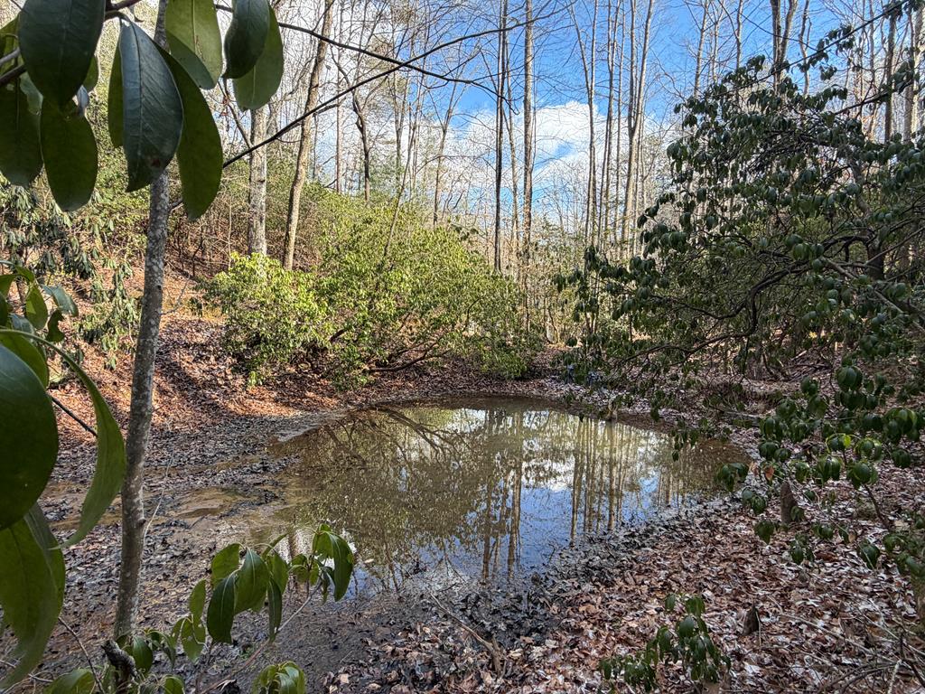 422507 Blue Ridge Residential