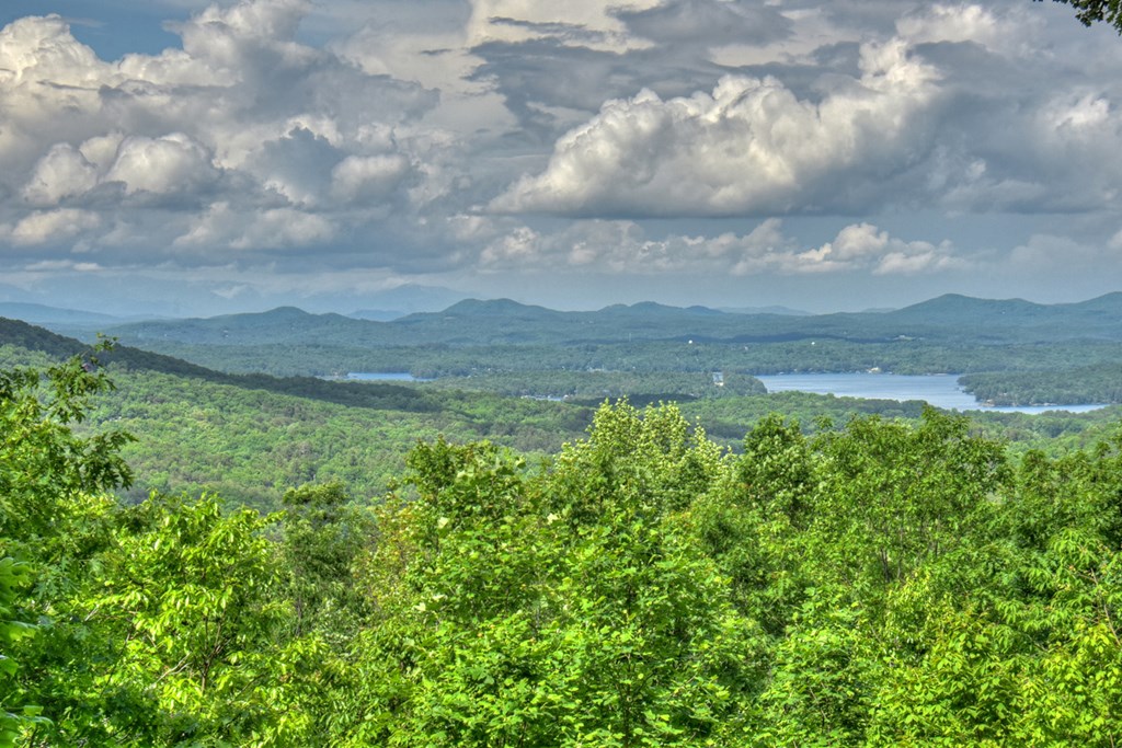 422520 Blue Ridge Residential