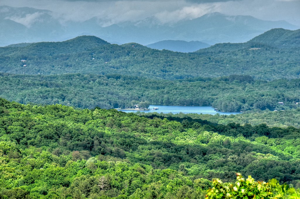 422520 Blue Ridge Residential