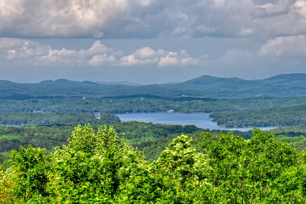 422520 Blue Ridge Residential