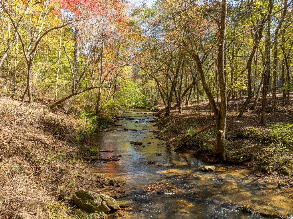 422525 Ellijay Residential