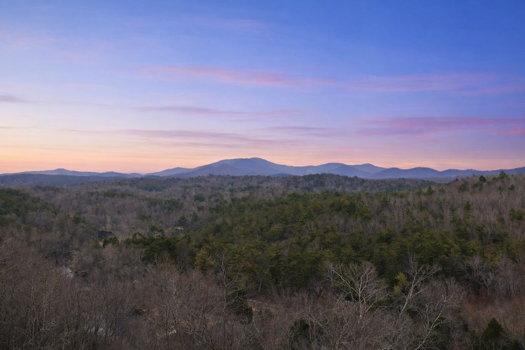 422563 Blue Ridge Residential