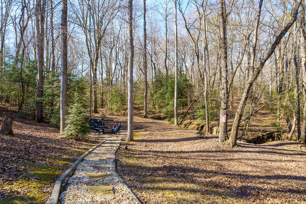 422587 Ellijay Residential