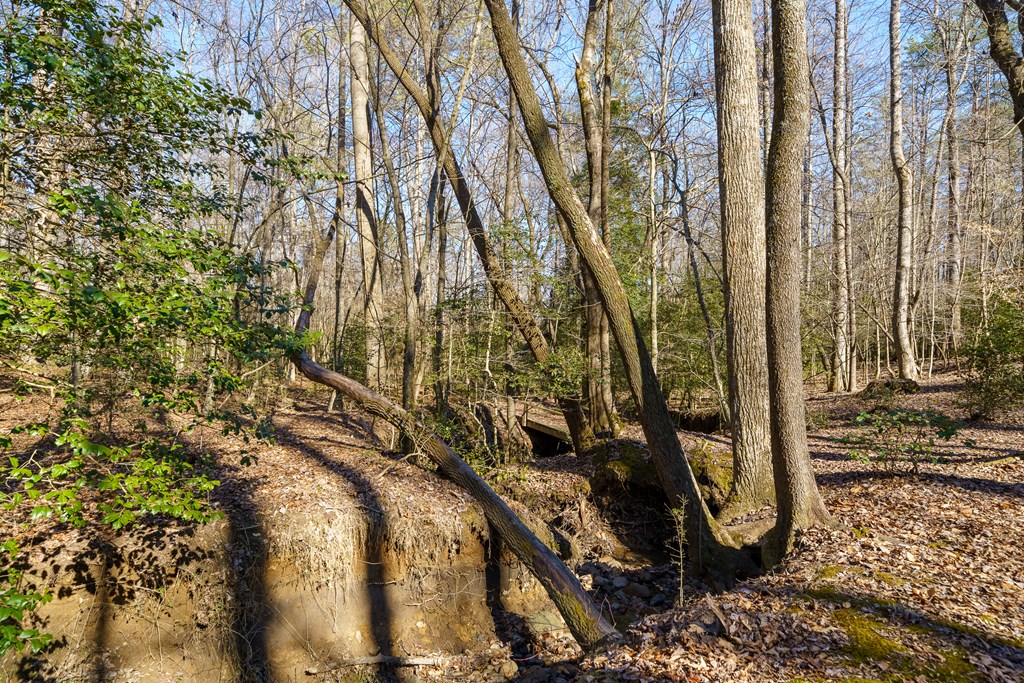 422587 Ellijay Residential