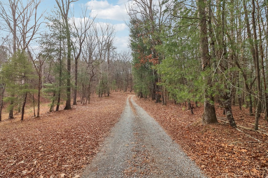 422593 Ellijay Residential