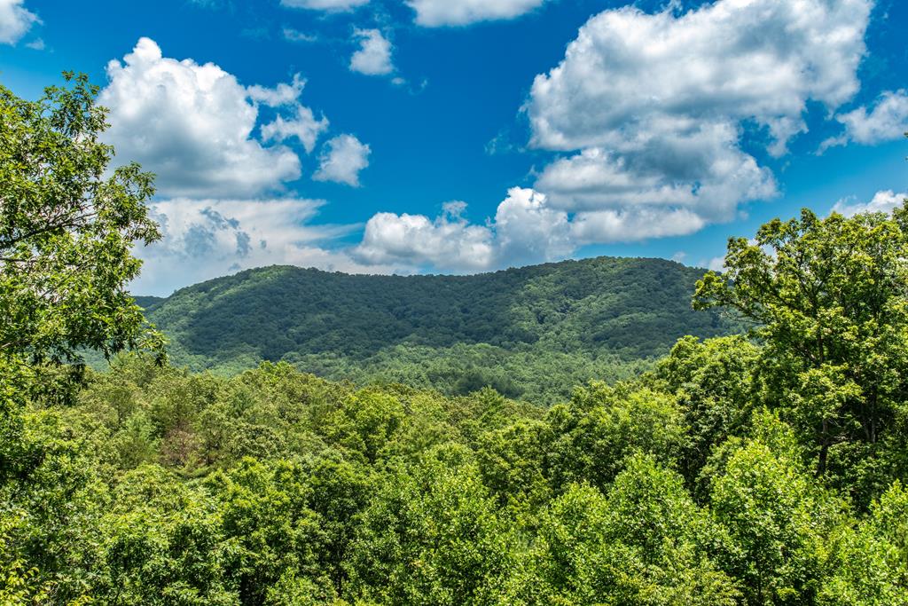 422597 Mineral Bluff Residential