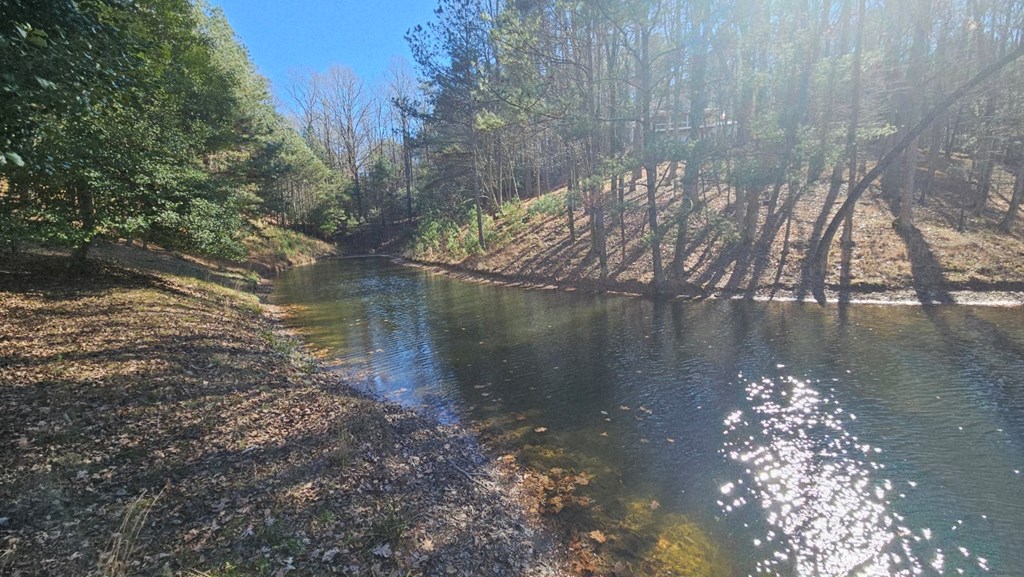 422612 Ellijay Residential