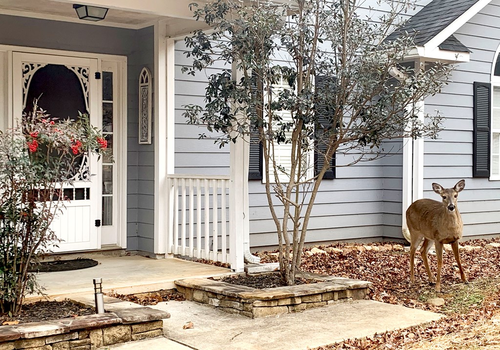 422616 Ellijay Residential