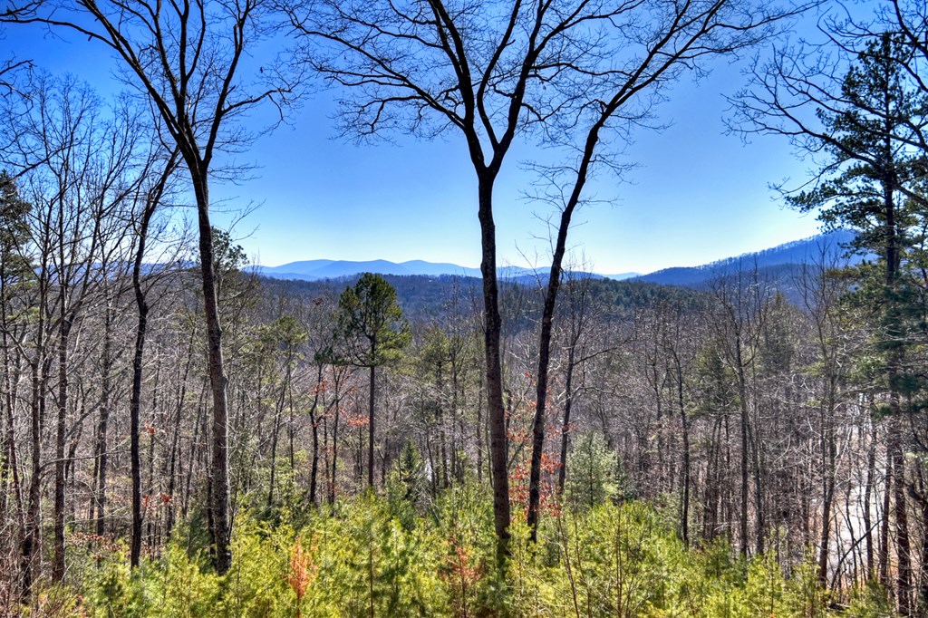 423618 Blue Ridge Residential