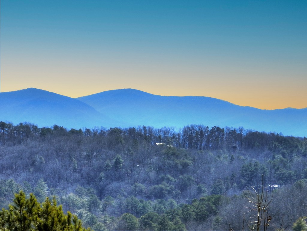 423618 Blue Ridge Residential