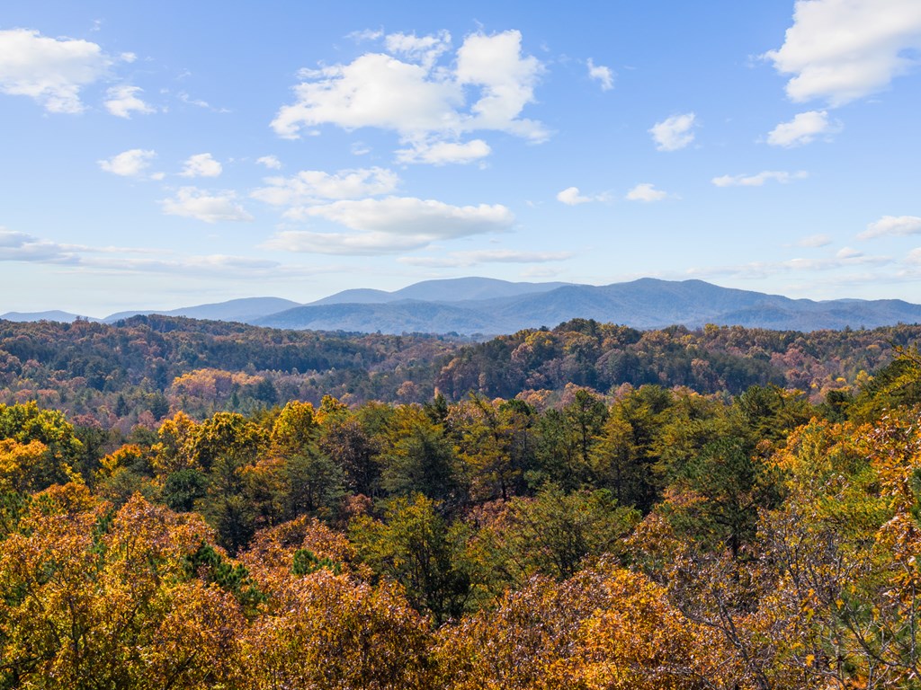 423621 Mineral Bluff Residential