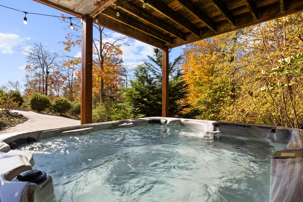 423621 Mineral Bluff Residential