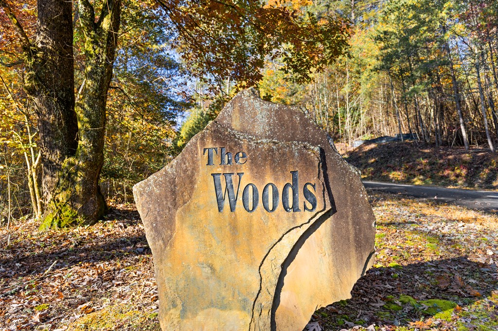 423621 Mineral Bluff Residential