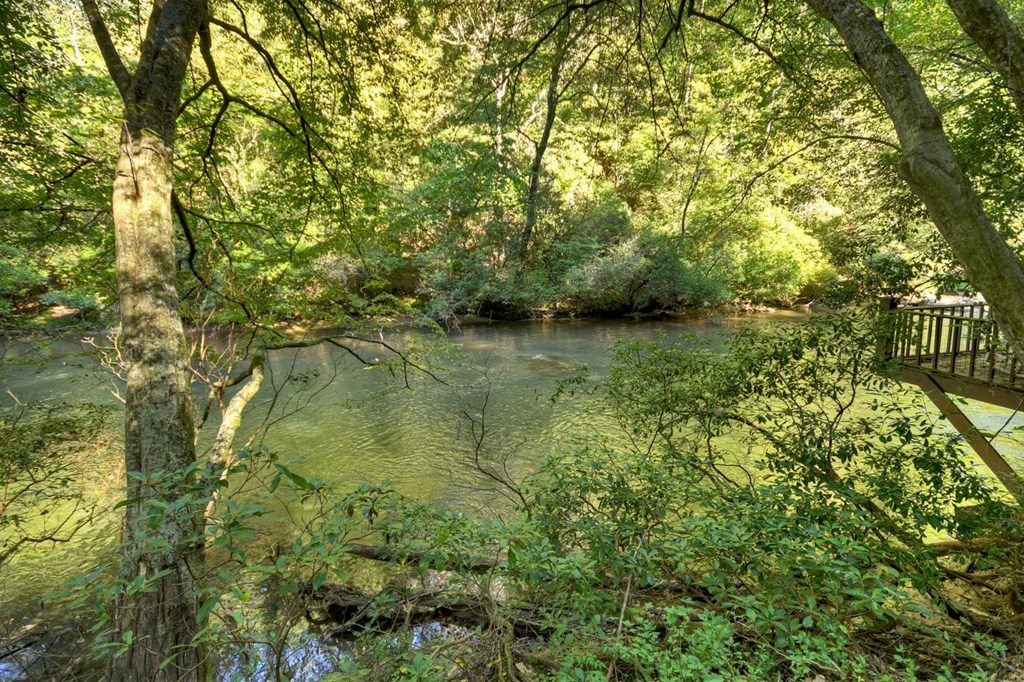 423625 Ellijay Residential