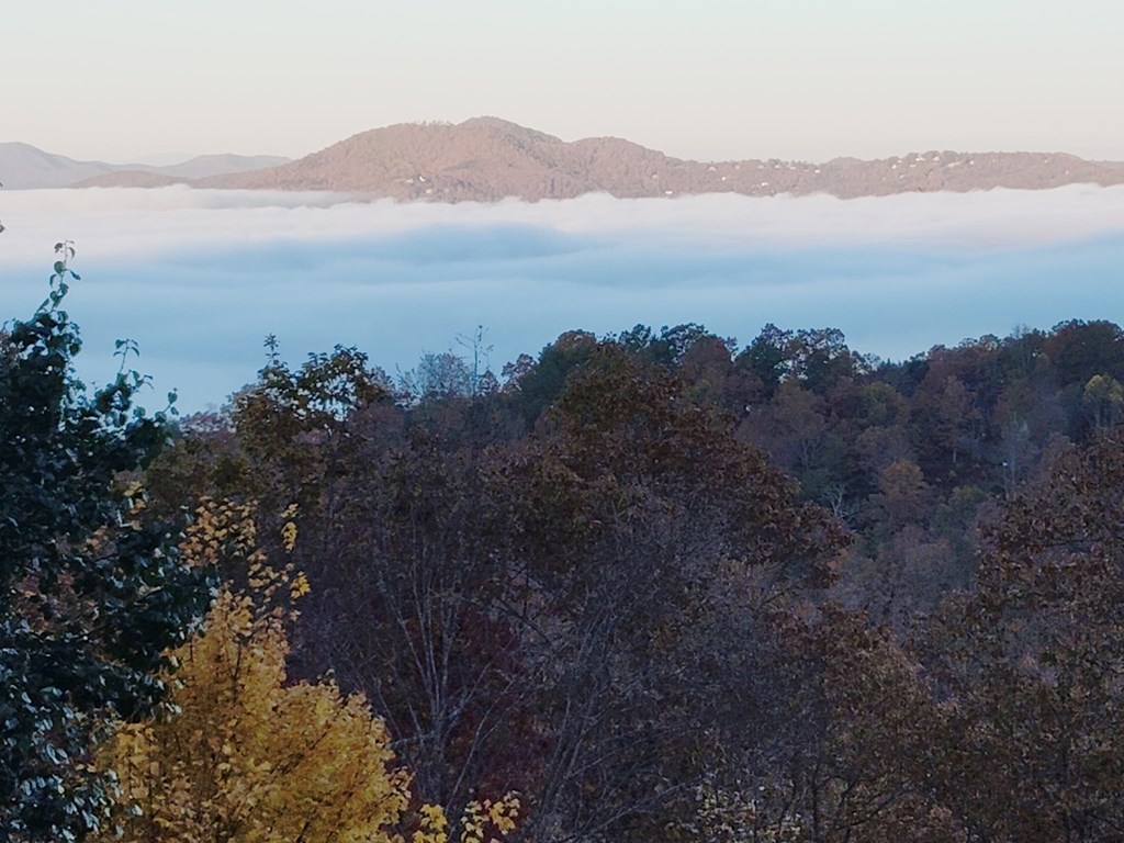 423626 Hayesville Residential