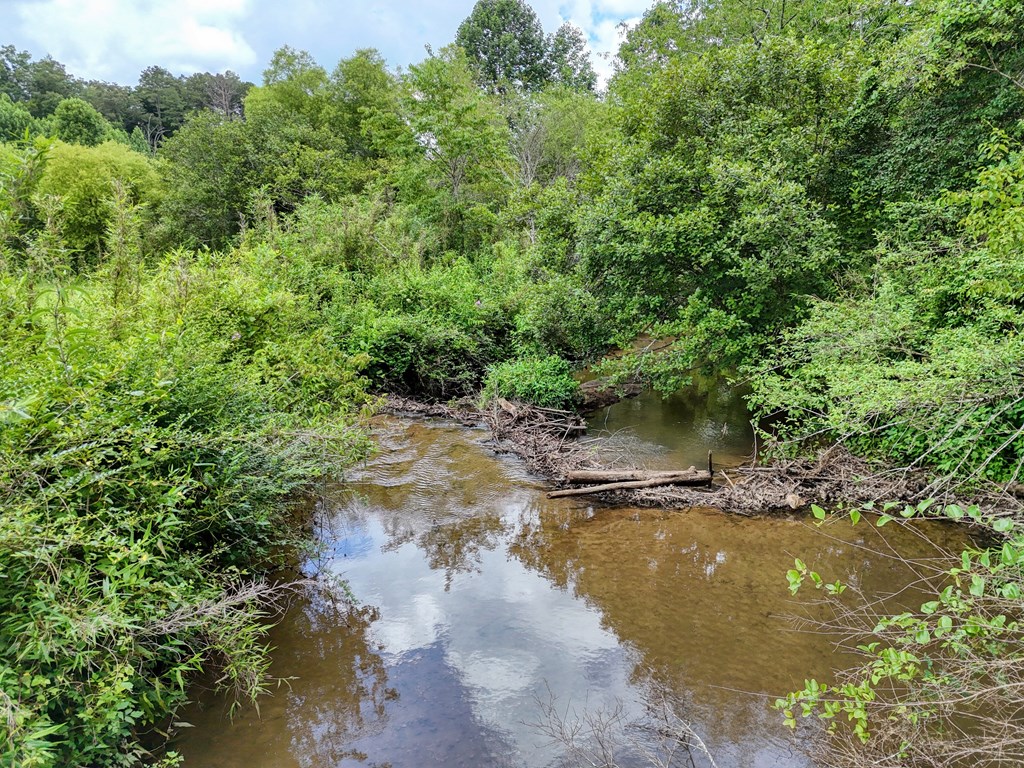 423629 Mineral Bluff Residential