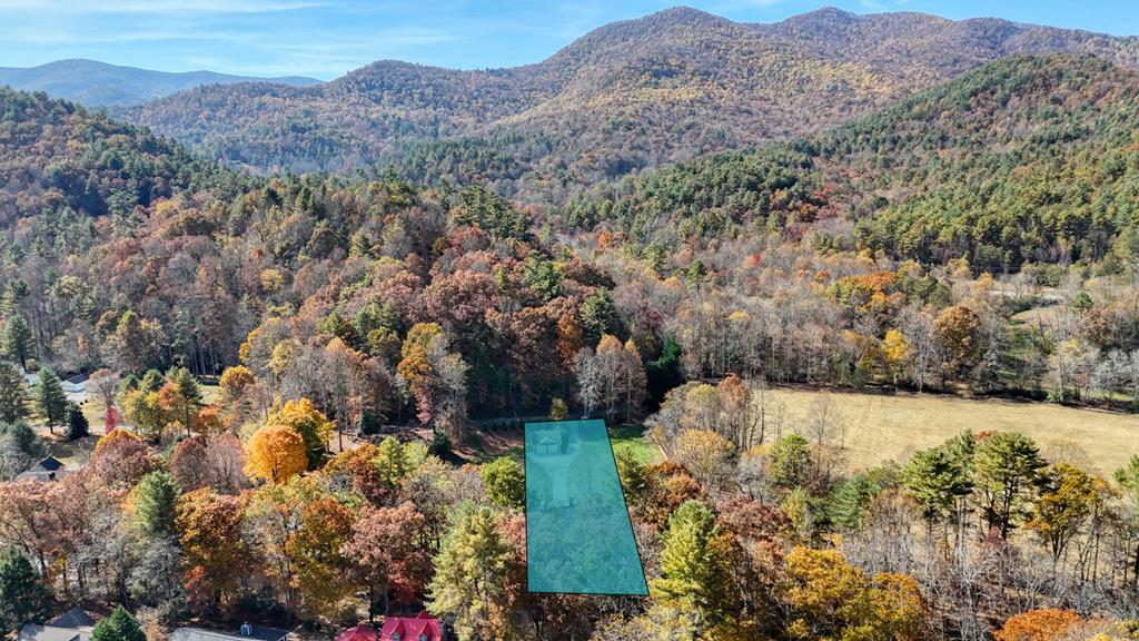423631 Hiawassee Residential