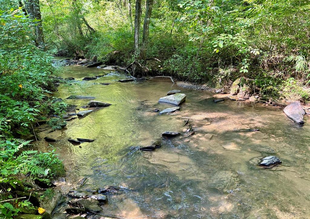 423632 Ellijay Residential