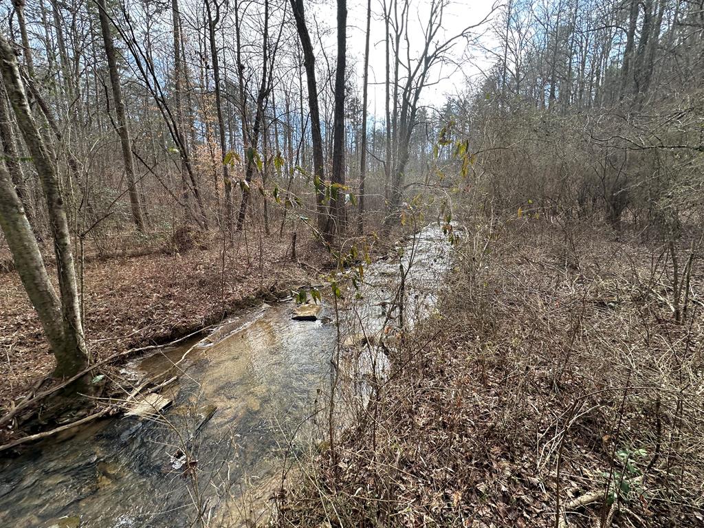 423632 Ellijay Residential