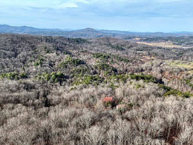 423639 Brasstown Residential