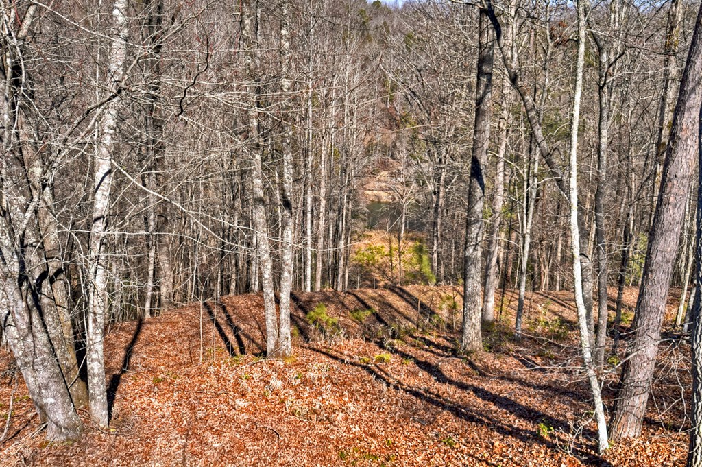 423646 Blue Ridge Residential