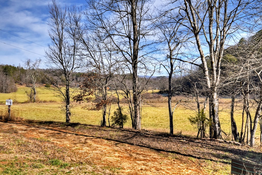 423655 Young Harris Residential