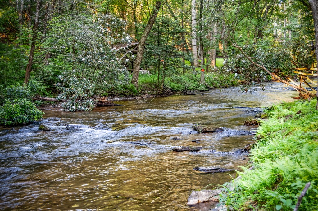 423656 Blue Ridge Residential