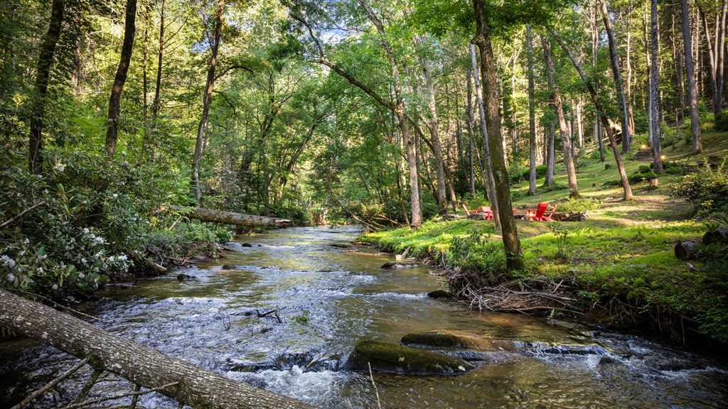 423656 Blue Ridge Residential