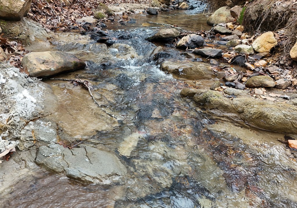 423667 Morganton Residential