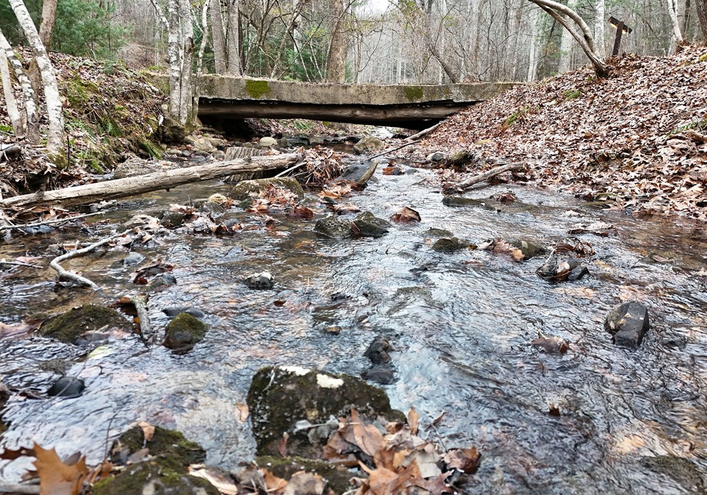 423667 Morganton Residential