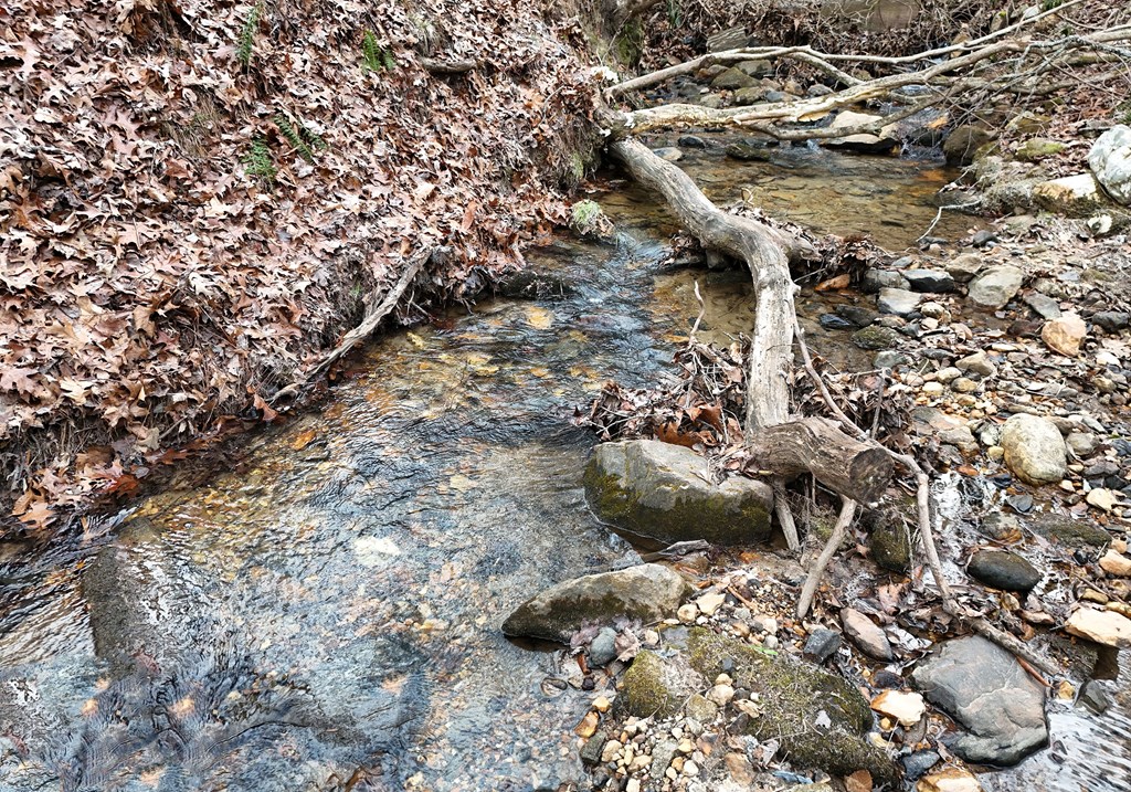 423667 Morganton Residential